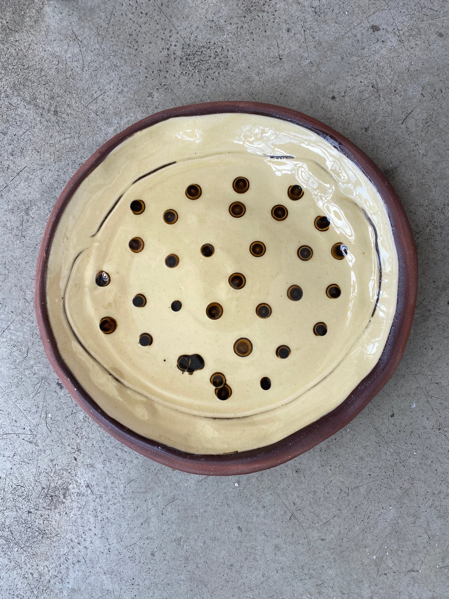 Dinner Plates