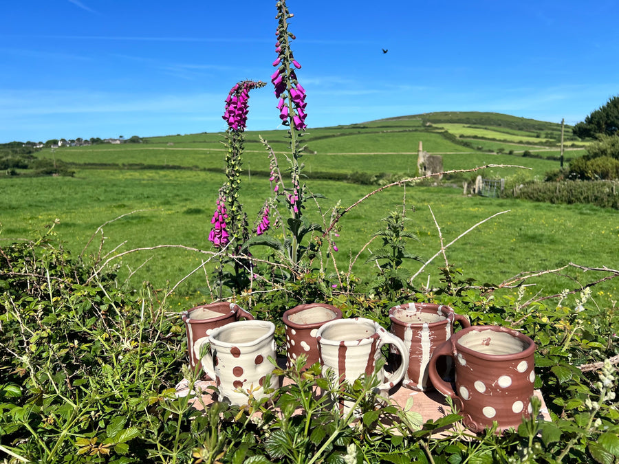 1 - 31 July 2026: From Cornwall With Love by Hamish Jackson